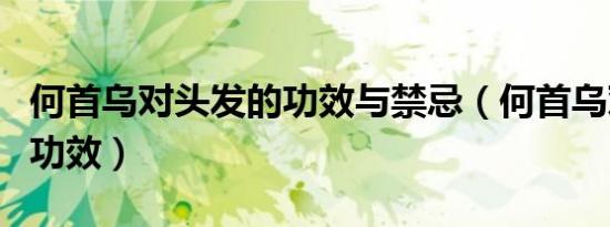 何首乌对头发的功效与禁忌（何首乌对头发的功效）