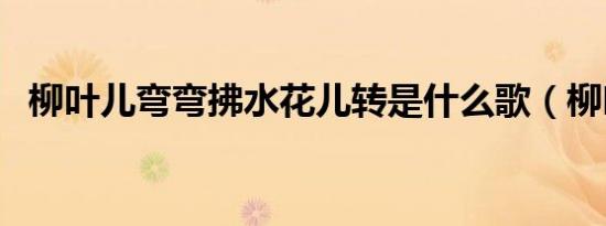 柳叶儿弯弯拂水花儿转是什么歌（柳叶儿）