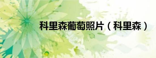科里森葡萄照片（科里森）