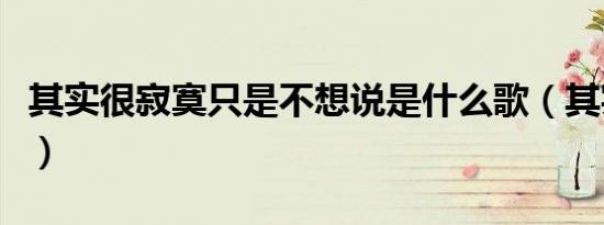 其实很寂寞只是不想说是什么歌（其实很寂寞）