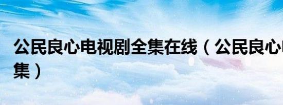 公民良心电视剧全集在线（公民良心电视剧全集）