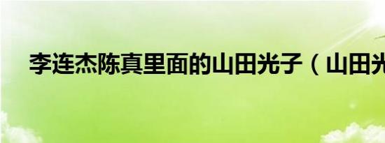 李连杰陈真里面的山田光子（山田光子）