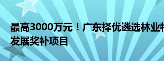 最高3000万元！广东择优遴选林业特色产业发展奖补项目