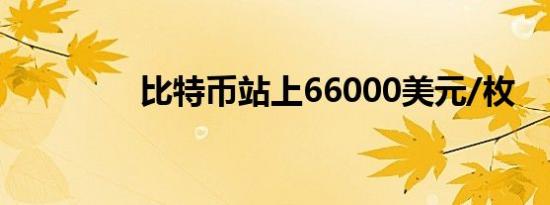 比特币站上66000美元/枚