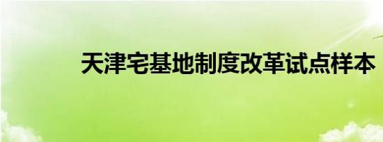天津宅基地制度改革试点样本