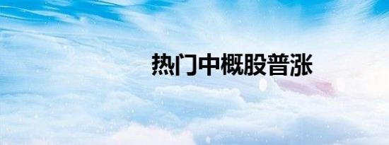 热门中概股普涨