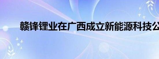 赣锋锂业在广西成立新能源科技公司