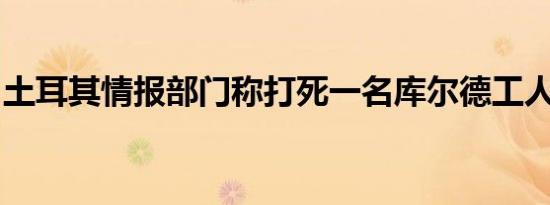 土耳其情报部门称打死一名库尔德工人党成员