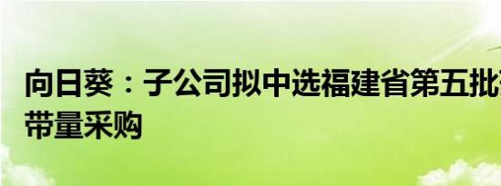 向日葵：子公司拟中选福建省第五批药品集中带量采购