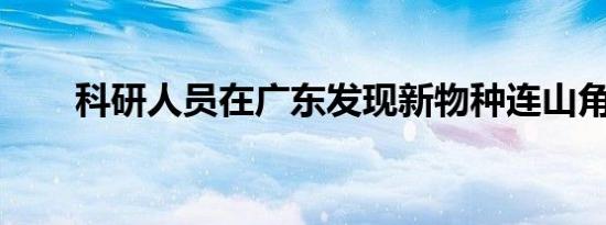科研人员在广东发现新物种连山角蟾