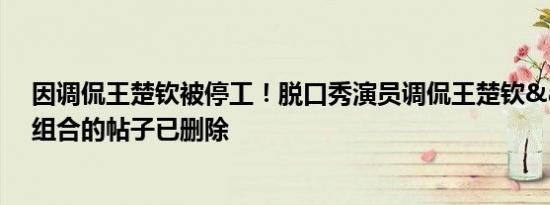 因调侃王楚钦被停工！脱口秀演员调侃王楚钦&莎头组合的帖子已删除