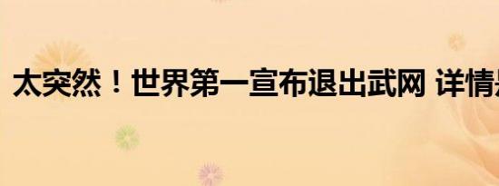 太突然！世界第一宣布退出武网 详情是怎样