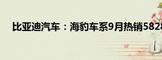 比亚迪汽车：海豹车系9月热销58285辆