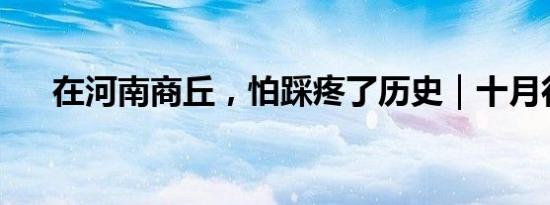 在河南商丘，怕踩疼了历史｜十月行记