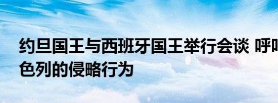 约旦国王与西班牙国王举行会谈 呼吁制止以色列的侵略行为