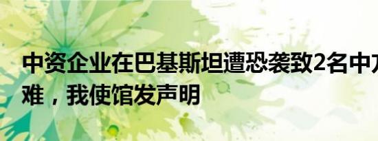 中资企业在巴基斯坦遭恐袭致2名中方人员遇难，我使馆发声明