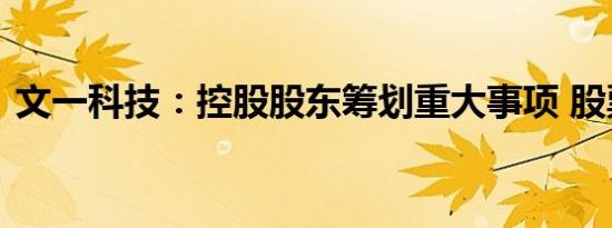 文一科技：控股股东筹划重大事项 股票停牌