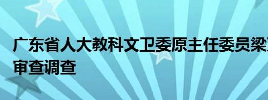 广东省人大教科文卫委原主任委员梁万里接受审查调查