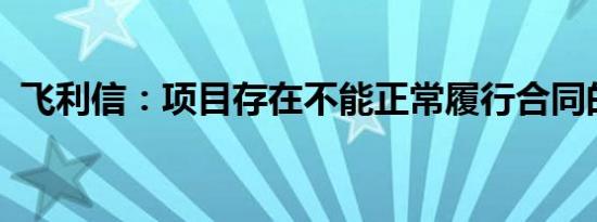 飞利信：项目存在不能正常履行合同的风险