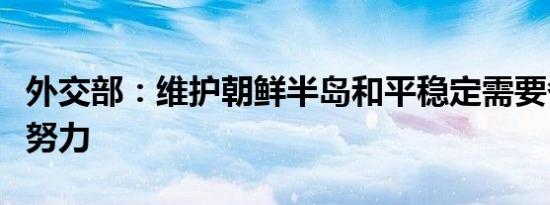 外交部：维护朝鲜半岛和平稳定需要各方共同努力