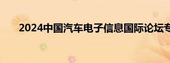 2024中国汽车电子信息国际论坛专访