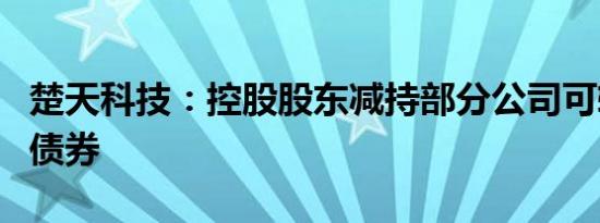 楚天科技：控股股东减持部分公司可转换公司债券