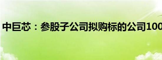 中巨芯：参股子公司拟购标的公司100%股权