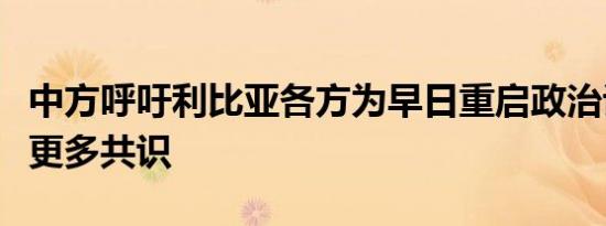 中方呼吁利比亚各方为早日重启政治谈判凝聚更多共识