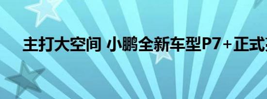 主打大空间 小鹏全新车型P7+正式亮相