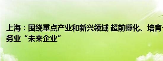 上海：围绕重点产业和新兴领域 超前孵化、培育一批科技服务业“未来企业”