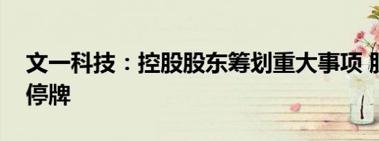 文一科技：控股股东筹划重大事项 股票继续停牌