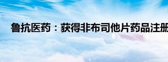 鲁抗医药：获得非布司他片药品注册证书