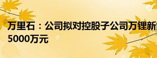 万里石：公司拟对控股子公司万锂新能源增资5000万元
