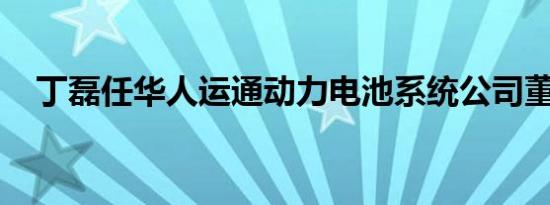 丁磊任华人运通动力电池系统公司董事长