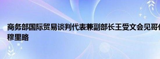 商务部国际贸易谈判代表兼副部长王受文会见哥伦比亚外长穆里略