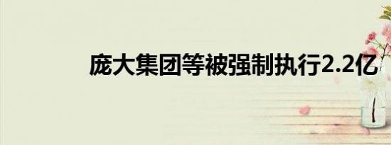 庞大集团等被强制执行2.2亿