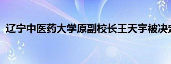 辽宁中医药大学原副校长王天宇被决定逮捕