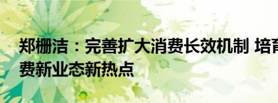 郑栅洁：完善扩大消费长效机制 培育更多消费新业态新热点