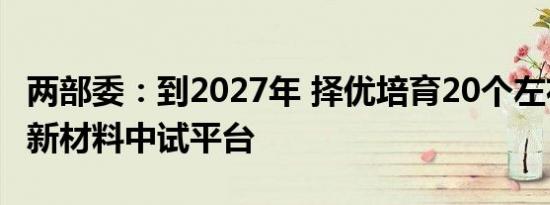 两部委：到2027年 择优培育20个左右高水平新材料中试平台