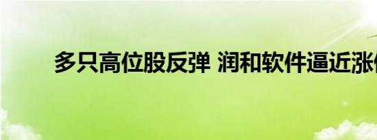 多只高位股反弹 润和软件逼近涨停