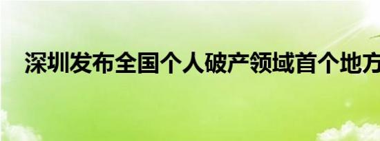 深圳发布全国个人破产领域首个地方标准