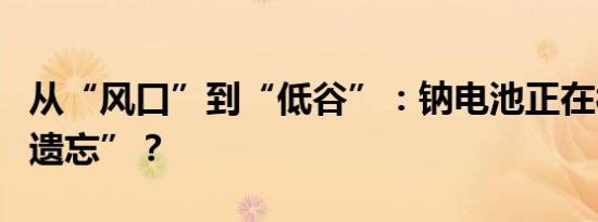 从“风口”到“低谷”：钠电池正在被市场“遗忘”？
