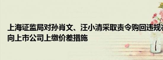 上海证监局对孙肖文、汪小清采取责令购回违规减持股份并向上市公司上缴价差措施