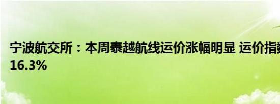 宁波航交所：本周泰越航线运价涨幅明显 运价指数较上周涨16.3%