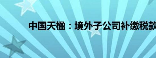 中国天楹：境外子公司补缴税款