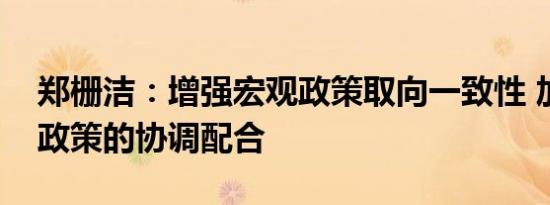郑栅洁：增强宏观政策取向一致性 加强各类政策的协调配合