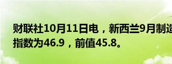 财联社10月11日电，新西兰9月制造业表现指数为46.9，前值45.8。