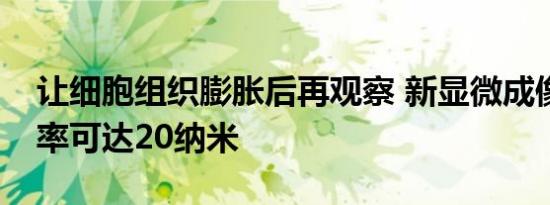 让细胞组织膨胀后再观察 新显微成像法分辨率可达20纳米