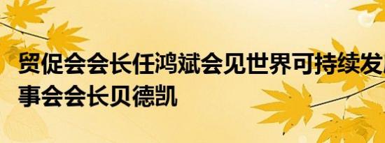 贸促会会长任鸿斌会见世界可持续发展工商理事会会长贝德凯
