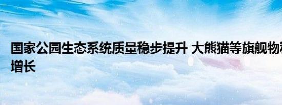 国家公园生态系统质量稳步提升 大熊猫等旗舰物种数量持续增长